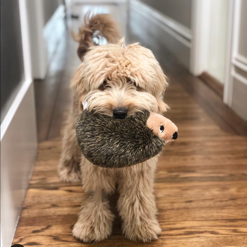 Meet your Posher, Christine